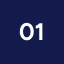01 (1)